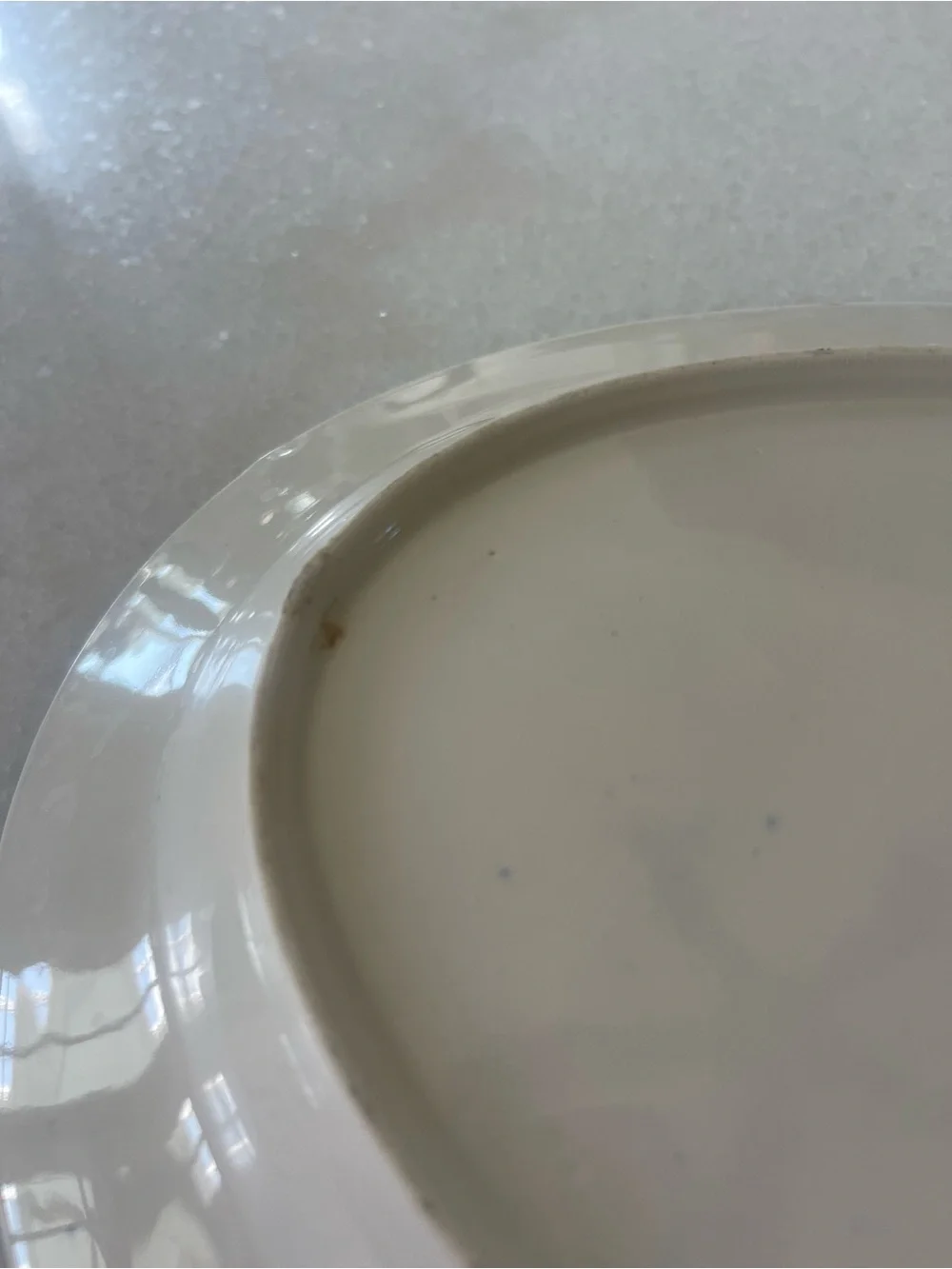 Blue Willow China Oval Tray Platter Serving Tray Chinoiserie